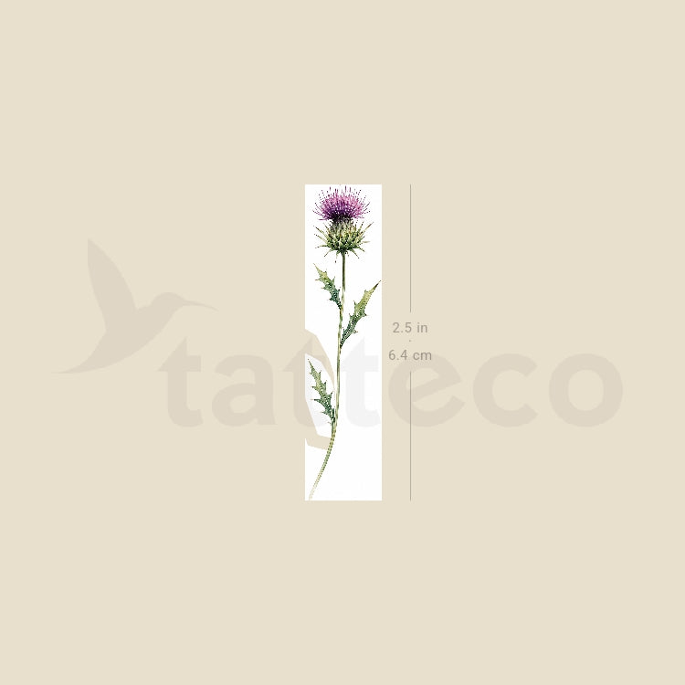 Watercolor Thistle Temporary Tattoo - Set of 3