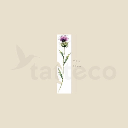 Watercolor Thistle Temporary Tattoo - Set of 3