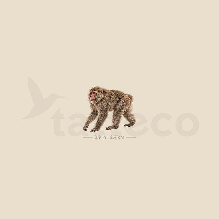 Macaque Temporary Tattoo - Set of 3