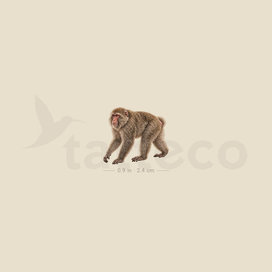 Macaque Temporary Tattoo - Set of 3