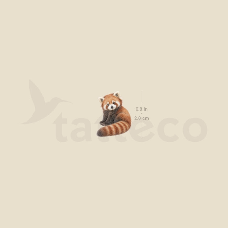 Baby Red Panda Temporary Tattoo - Set of 3