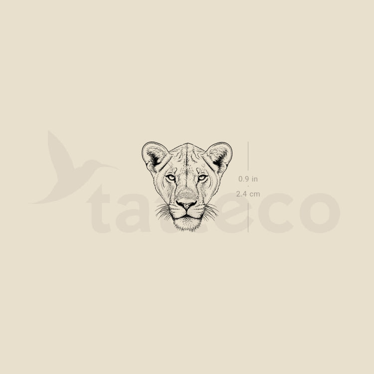 Lioness Portrait Temporary Tattoo - Set of 3