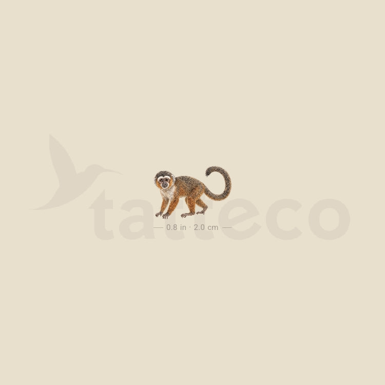 Titi Monkey Temporary Tattoo - Set of 3