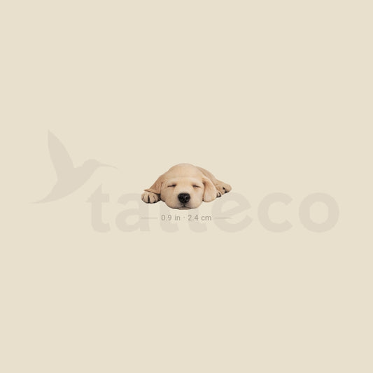 Sleeping Labrador Retriever Temporary Tattoo - Set of 3