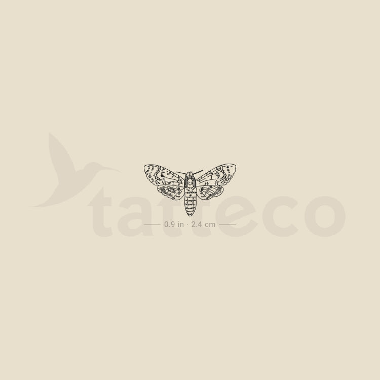Small Moth Temporary Tattoo - Set of 3