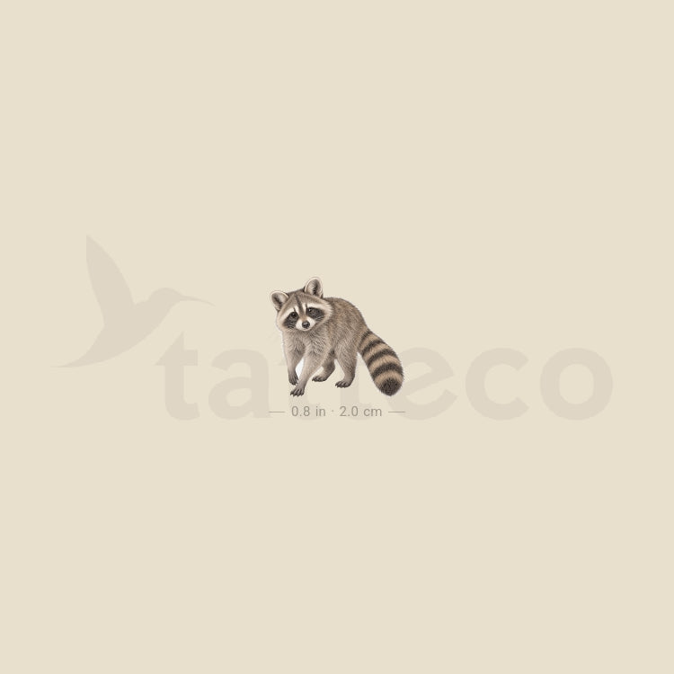 Raccoon Temporary Tattoo - Set of 3