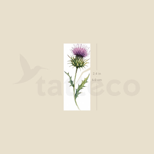 Small Watercolor Thistle Temporary Tattoo - Set of 3