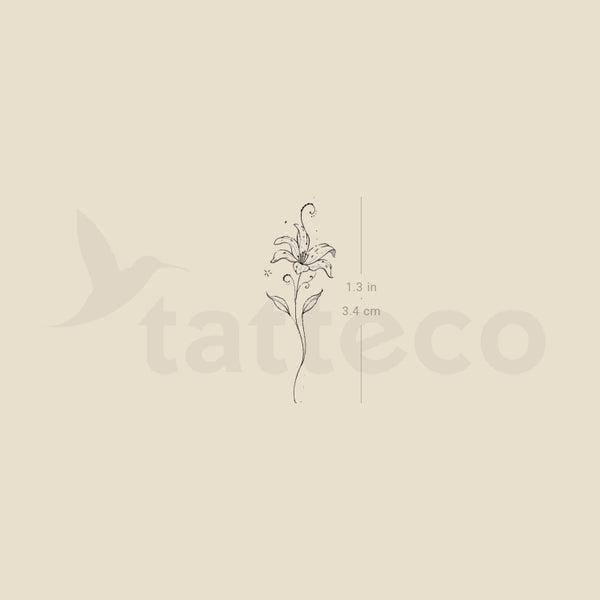 Lily Stargazer By Stefano Mazza Temporary Tattoo - Set of 3