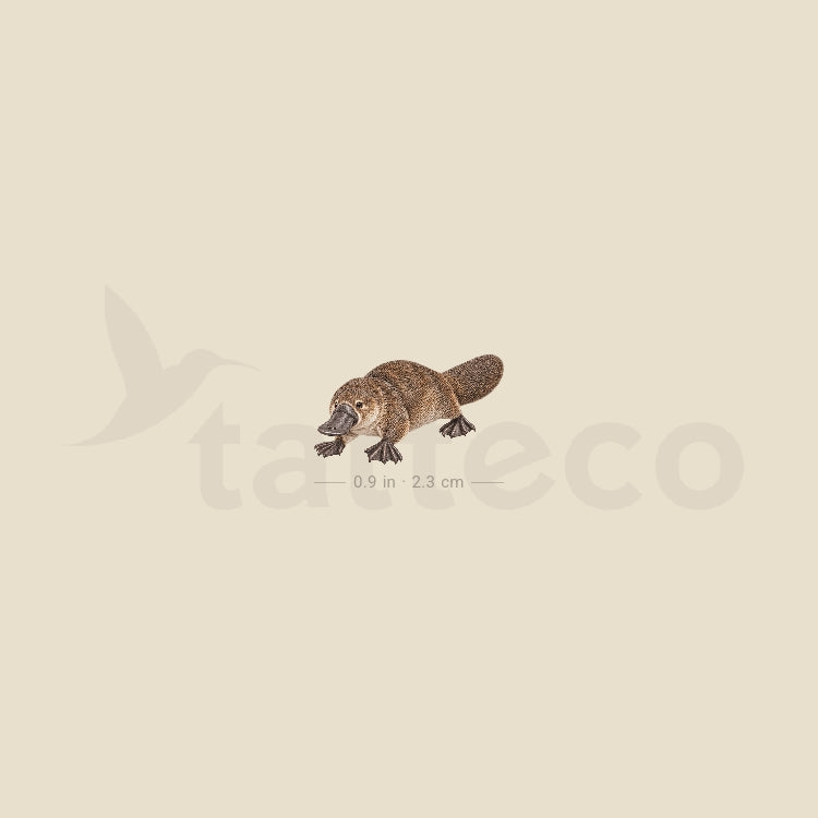 Watercolor Platypus Temporary Tattoo - Set of 3
