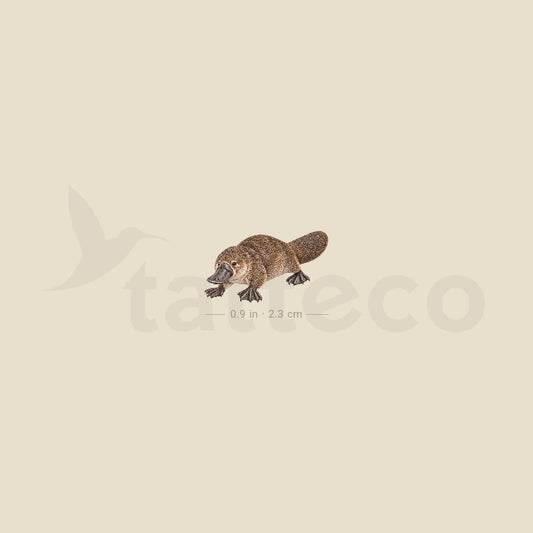 Watercolor Platypus Temporary Tattoo - Set of 3