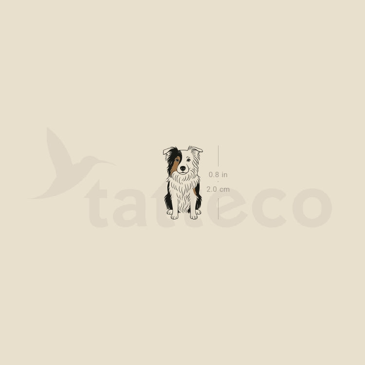 Border Collie Temporary Tattoo - Set of 3