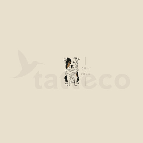 Border Collie Temporary Tattoo - Set of 3