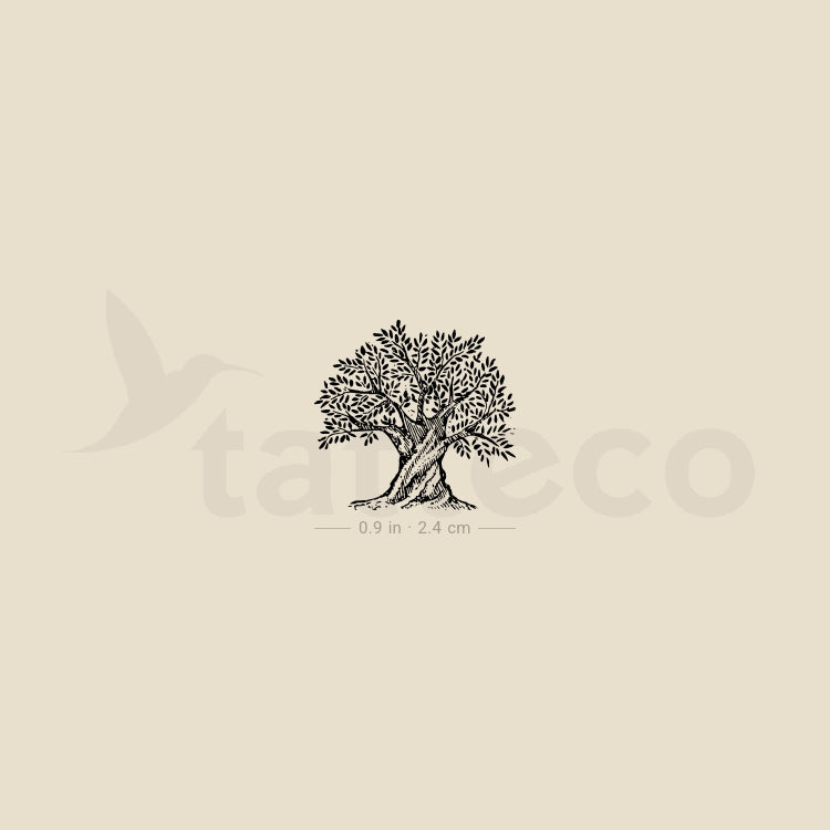 Tatuaje temporal de olivo - Juego de 3