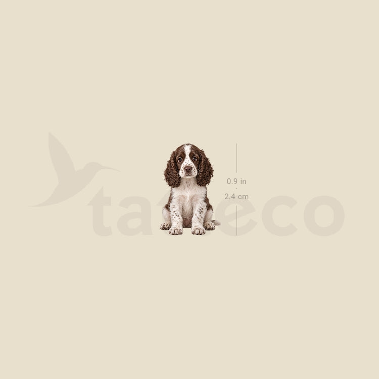 Springer Spaniel Puppy Temporary Tattoo - Set of 3