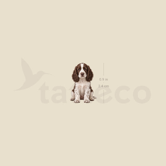 Springer Spaniel Puppy Temporary Tattoo - Set of 3