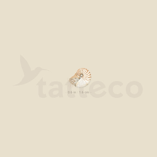 Nautilus Temporary Tattoo - Set of 3