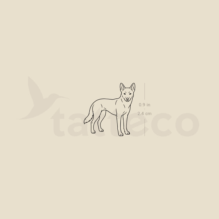 Dingo Temporary Tattoo - Set of 3
