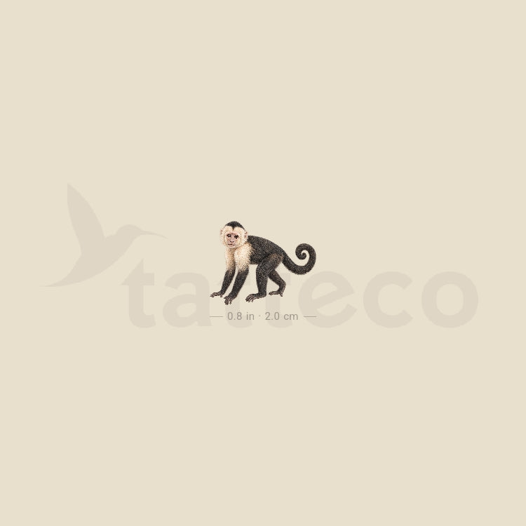 Capuchin Monkey Temporary Tattoo - Set of 3