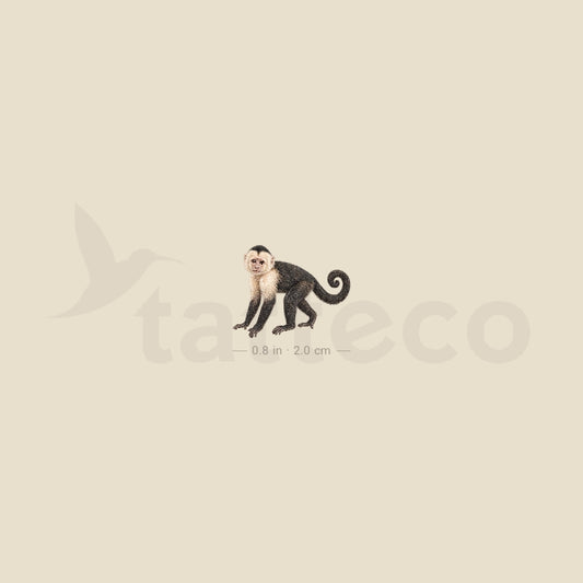 Capuchin Monkey Temporary Tattoo - Set of 3