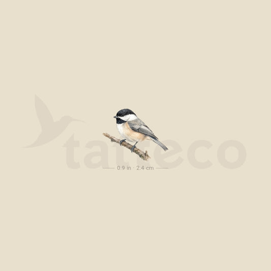 Black-capped Chickadee Temporary Tattoo - Set of 3