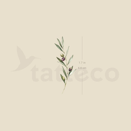 Watercolor Olive Branch Temporary Tattoo - Set of 3