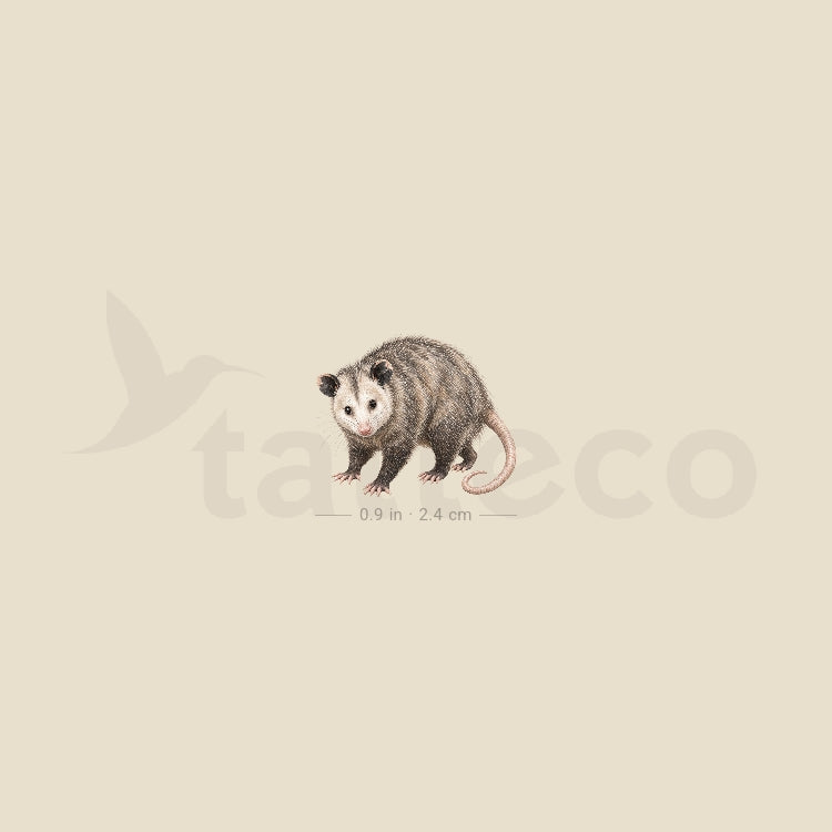 Opossum Temporary Tattoo - Set of 3