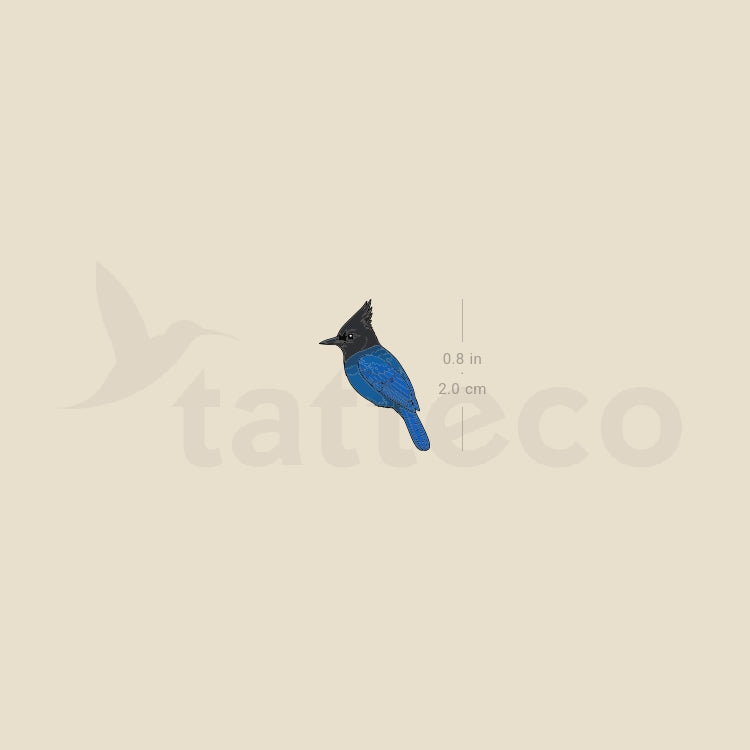 Little Steller's Jay Temporary Tattoo - Set of 3