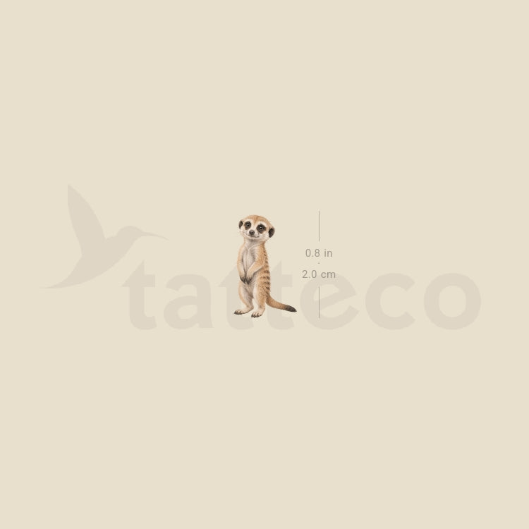 Baby Meerkat Temporary Tattoo - Set of 3