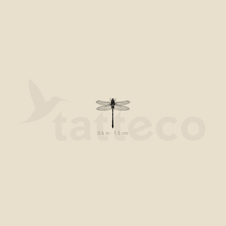 Little Dragonfly Temporary Tattoo - Set of 3