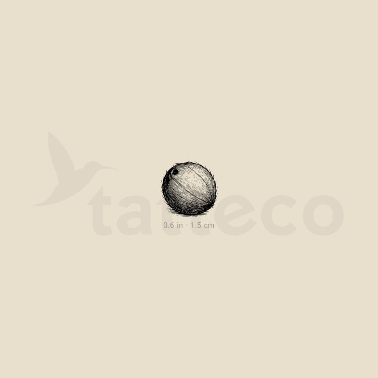 Tatuaje temporal de coco - Juego de 3