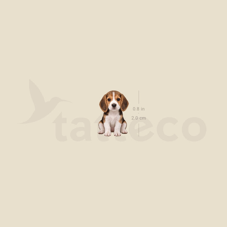 Seated Beagle Puppy Temporary Tattoo - Set of 3