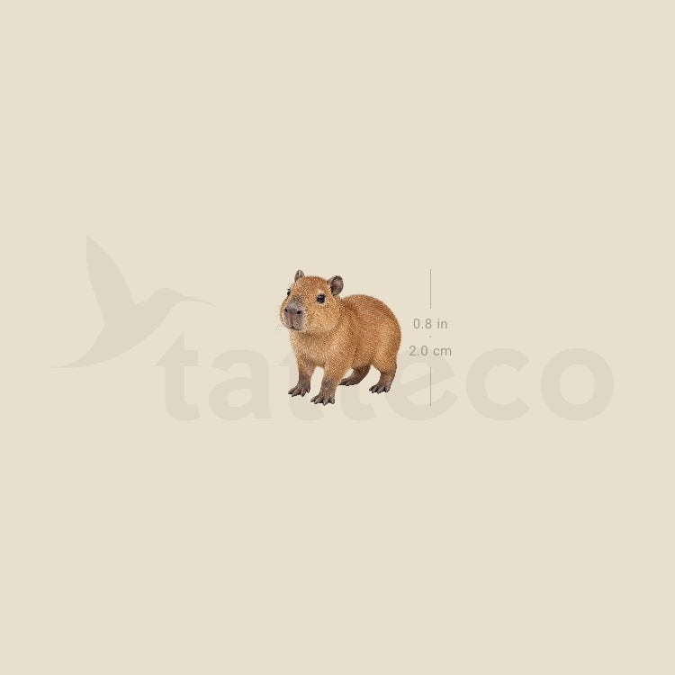 Capybara Temporary Tattoo - Set of 3