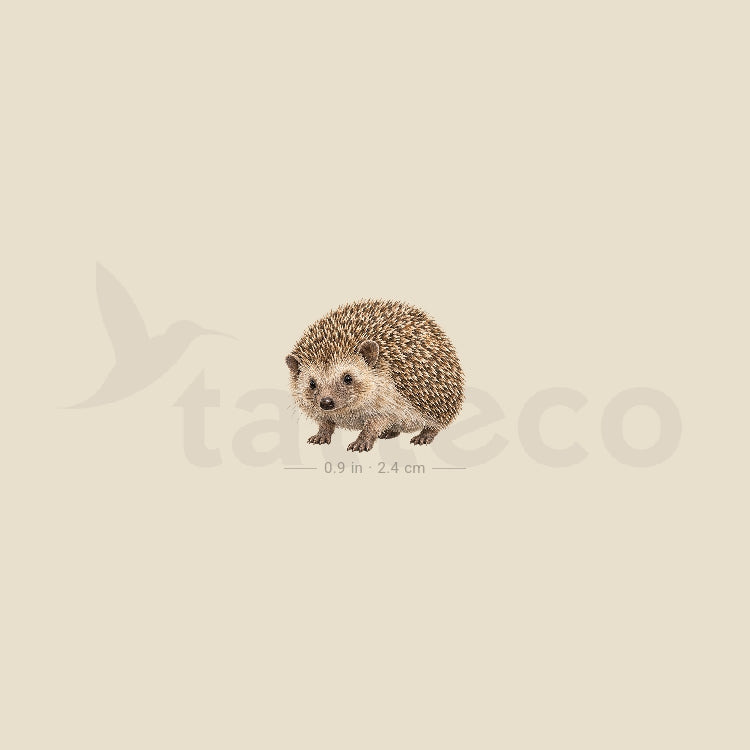 Watercolor Hedgehog Temporary Tattoo - Set of 3