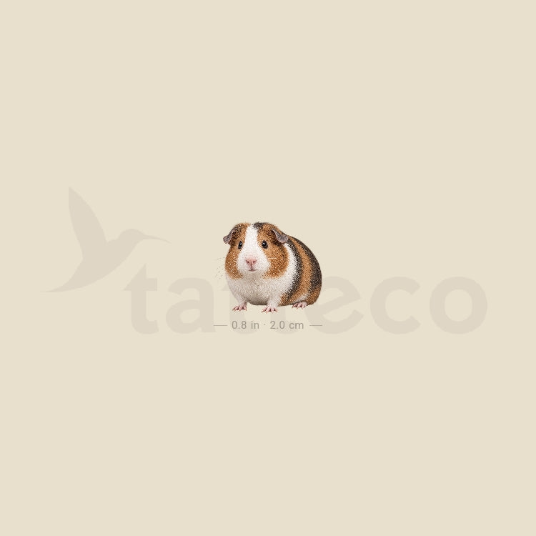 Guinea Pig Temporary Tattoo - Set of 3
