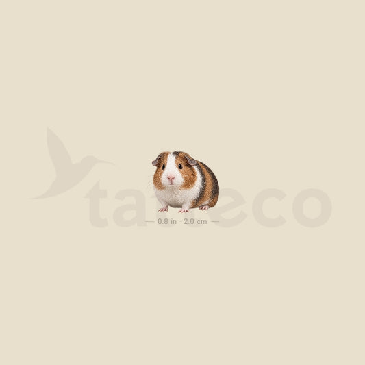 Guinea Pig Temporary Tattoo - Set of 3