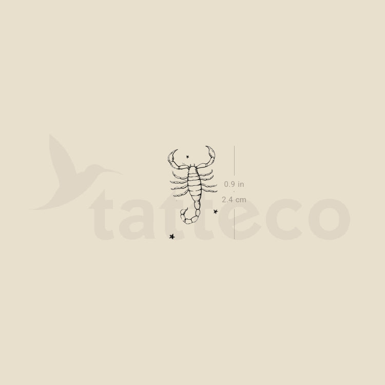 Little Scorpion By Stefano Mazza Temporary Tattoo - Set of 3
