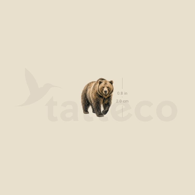 Watercolor Grizzly Bear Temporary Tattoo - Set of 3