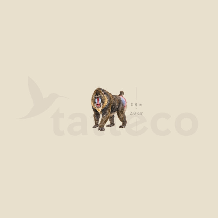 Mandrill Temporary Tattoo - Set of 3