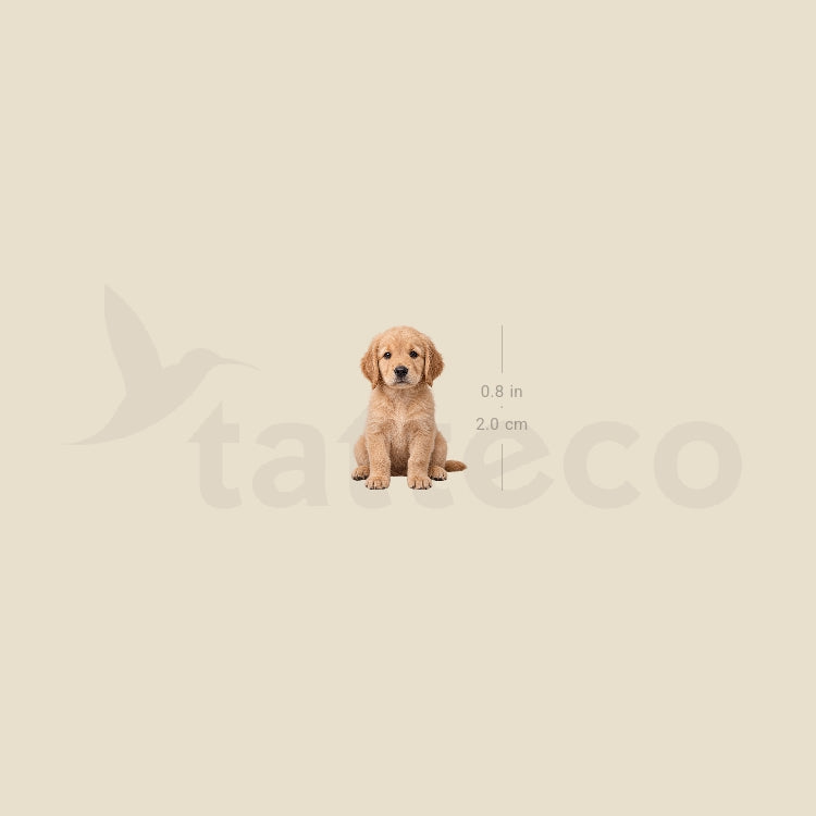 Seated Golden Retriever Puppy Temporary Tattoo - Set of 3