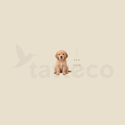 Seated Golden Retriever Puppy Temporary Tattoo - Set of 3