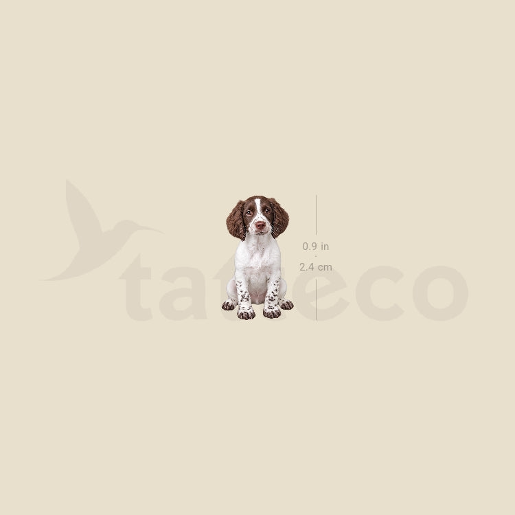 English Springer Spaniel Puppy Temporary Tattoo - Set of 3