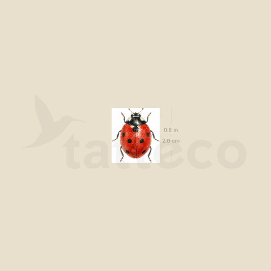 Watercolor Ladybug Temporary Tattoo - Set of 3