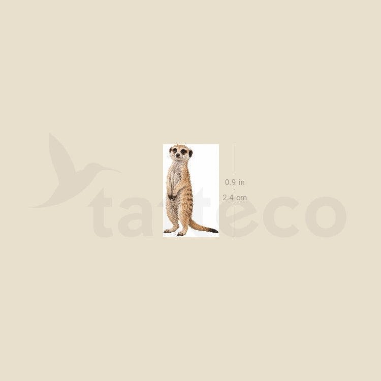 Suricate Temporary Tattoo - Set of 3