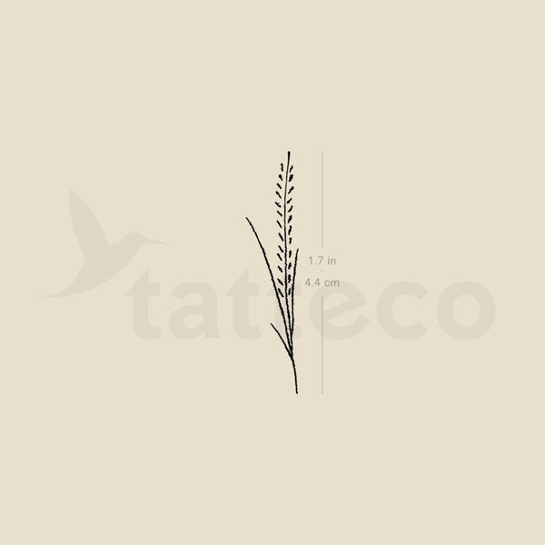 Wheat Plant Temporary Tattoo - Set of 3