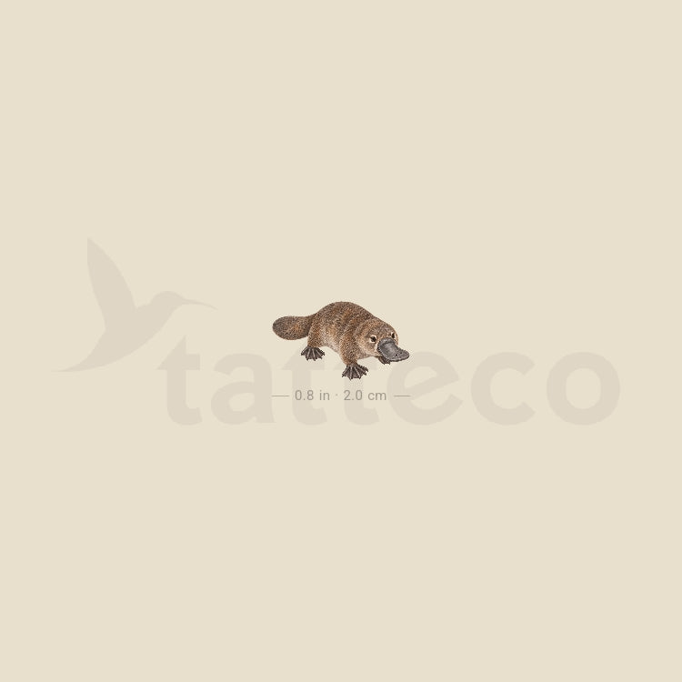 Small Platypus Temporary Tattoo - Set of 3