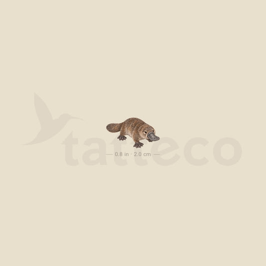 Small Platypus Temporary Tattoo - Set of 3