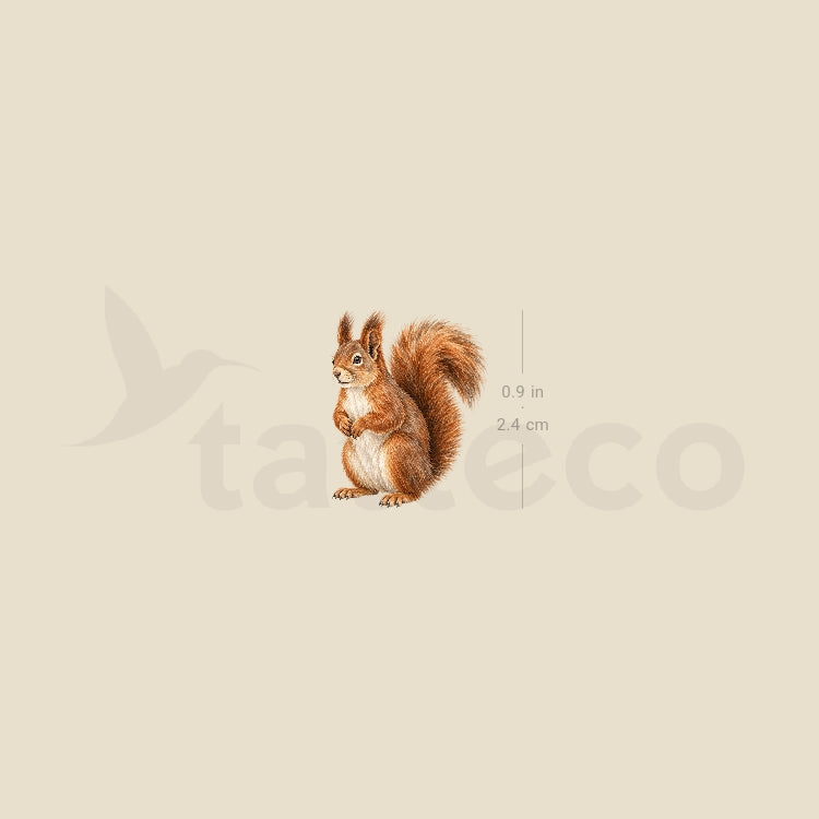 Watercolor Squirrel Temporary Tattoo - Set of 3