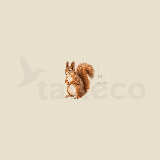 Watercolor Squirrel Temporary Tattoo - Set of 3