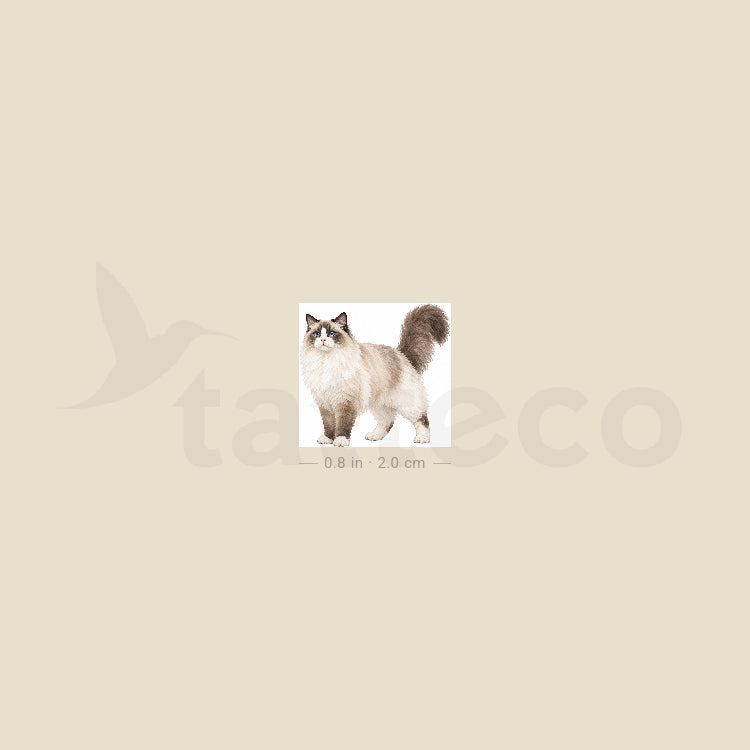 Ragdoll Cat Temporary Tattoo - Set of 3