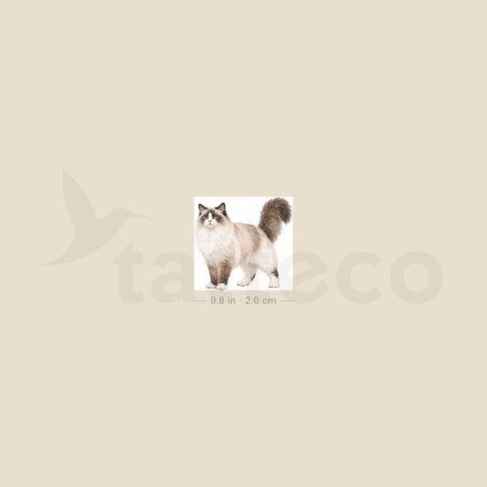 Ragdoll Cat Temporary Tattoo - Set of 3